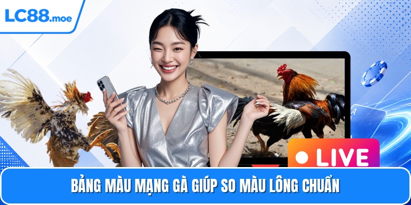 Bảng màu mạng gà giúp so màu lông chuẩn