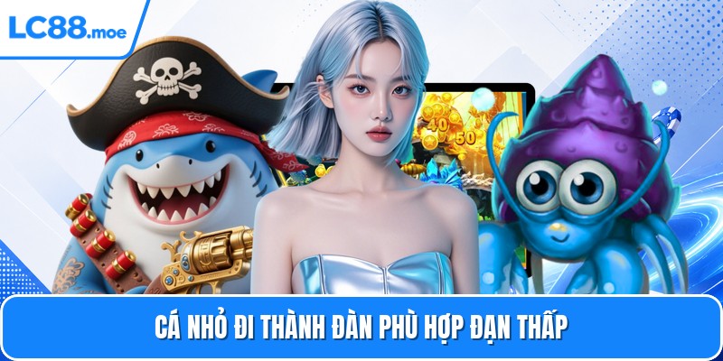 Cá nhỏ đi thành đàn phù hợp đạn thấp
