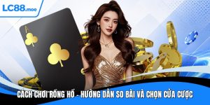 Cách chơi rồng hổ
