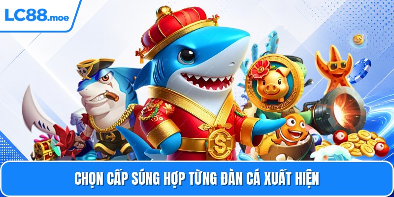 Chọn cấp súng hợp từng đàn cá xuất hiện