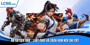 Đá gà cựa dao