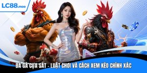 Đá gà cựa sắt