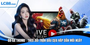 Đá gà thomo