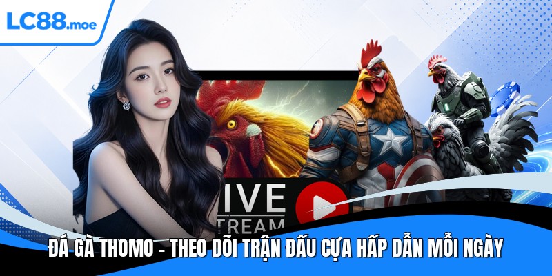 Đá gà thomo