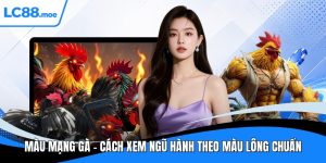 Màu mạng gà