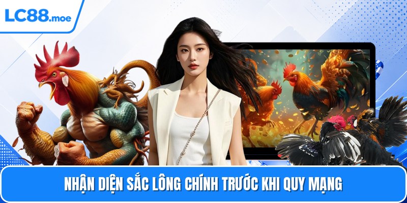 Nhận diện sắc lông chính trước khi quy mạng