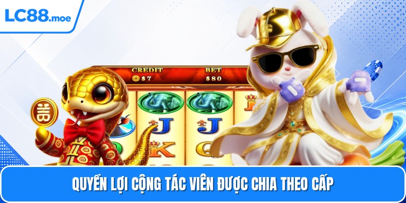 Quyền lợi cộng tác viên được chia theo cấp